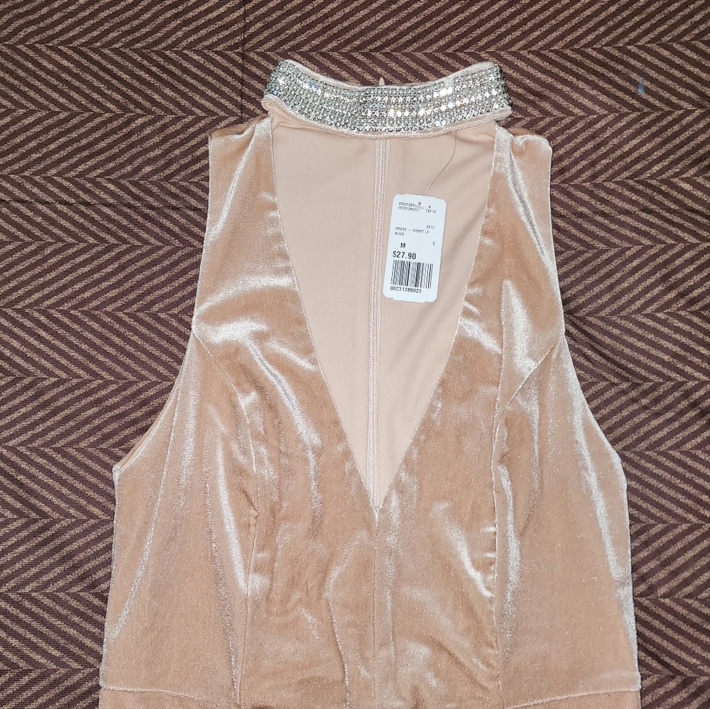 Blush Velvet F21 Dress